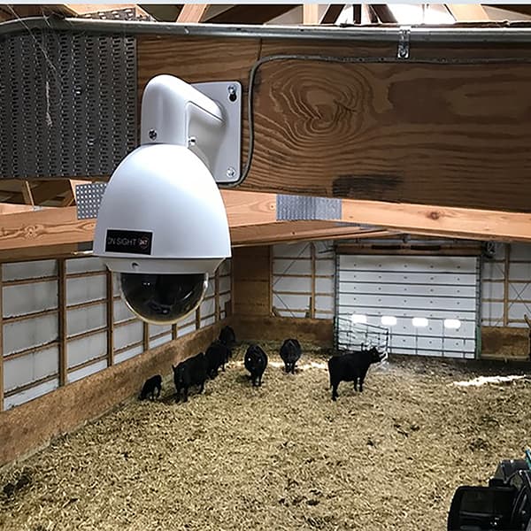IP camera mounted in barn